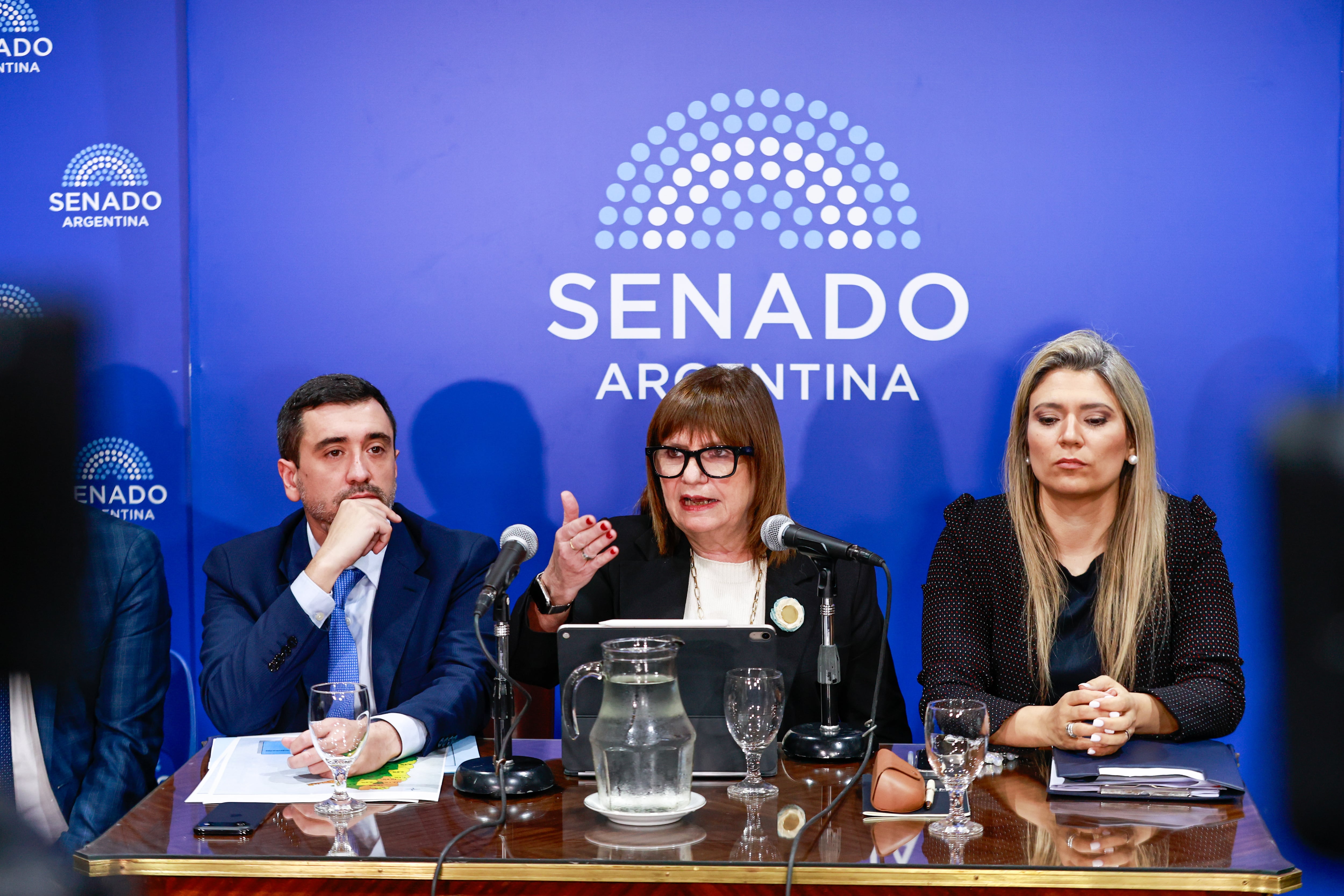 Bullrich junto a los senadores libertarios Agustín Coto y Nadia Márquez