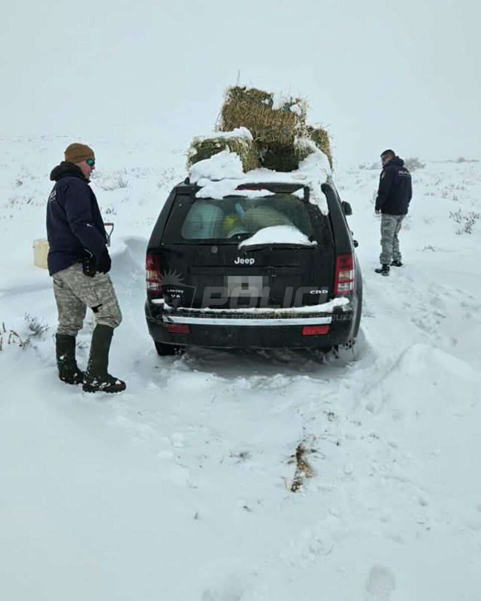 La camioneta de la familia que sufrió un desperfecto técnico