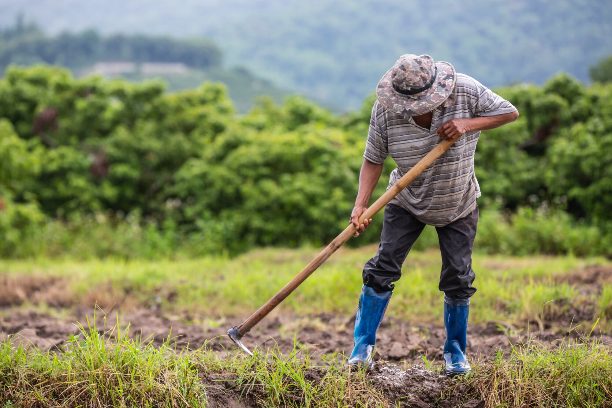 El ausentismo en los campos superó el 30 % tras las primeras redadas