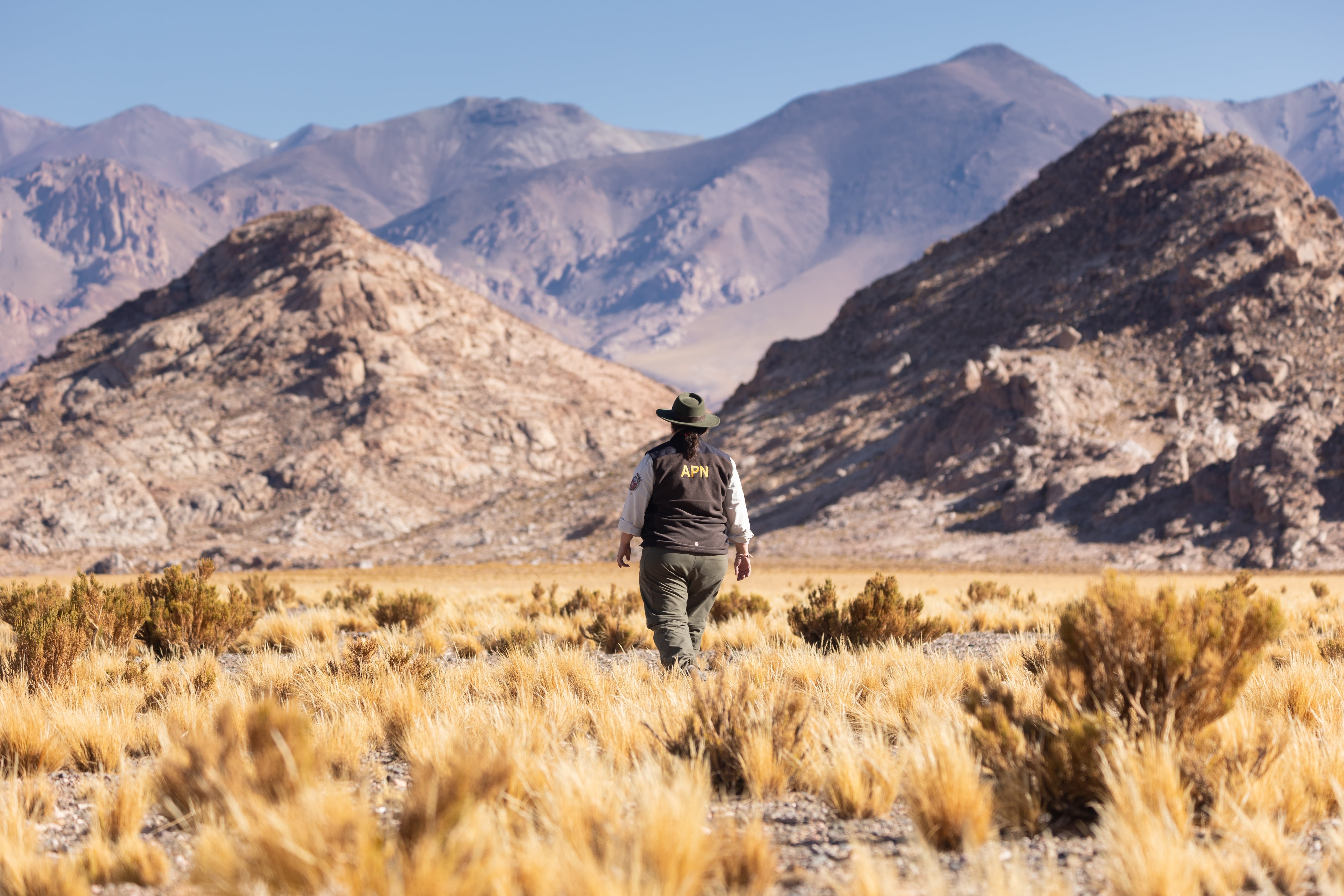 En el Parque Nacional San Guillermo, la presencia humana es ínfima, solo recibe once turistas al día.