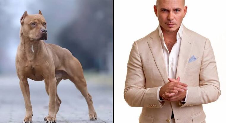 Crédito: el usuario Sam ALT man a través de X.