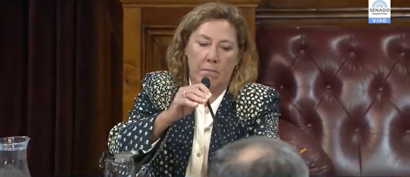 Ana Juan, la postulante a jueza que despierta elogios y suspicacias en Comodoro Py