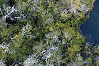 Deco. En el Sur, la casa de una fotógrafa rodeada de naturaleza y familia