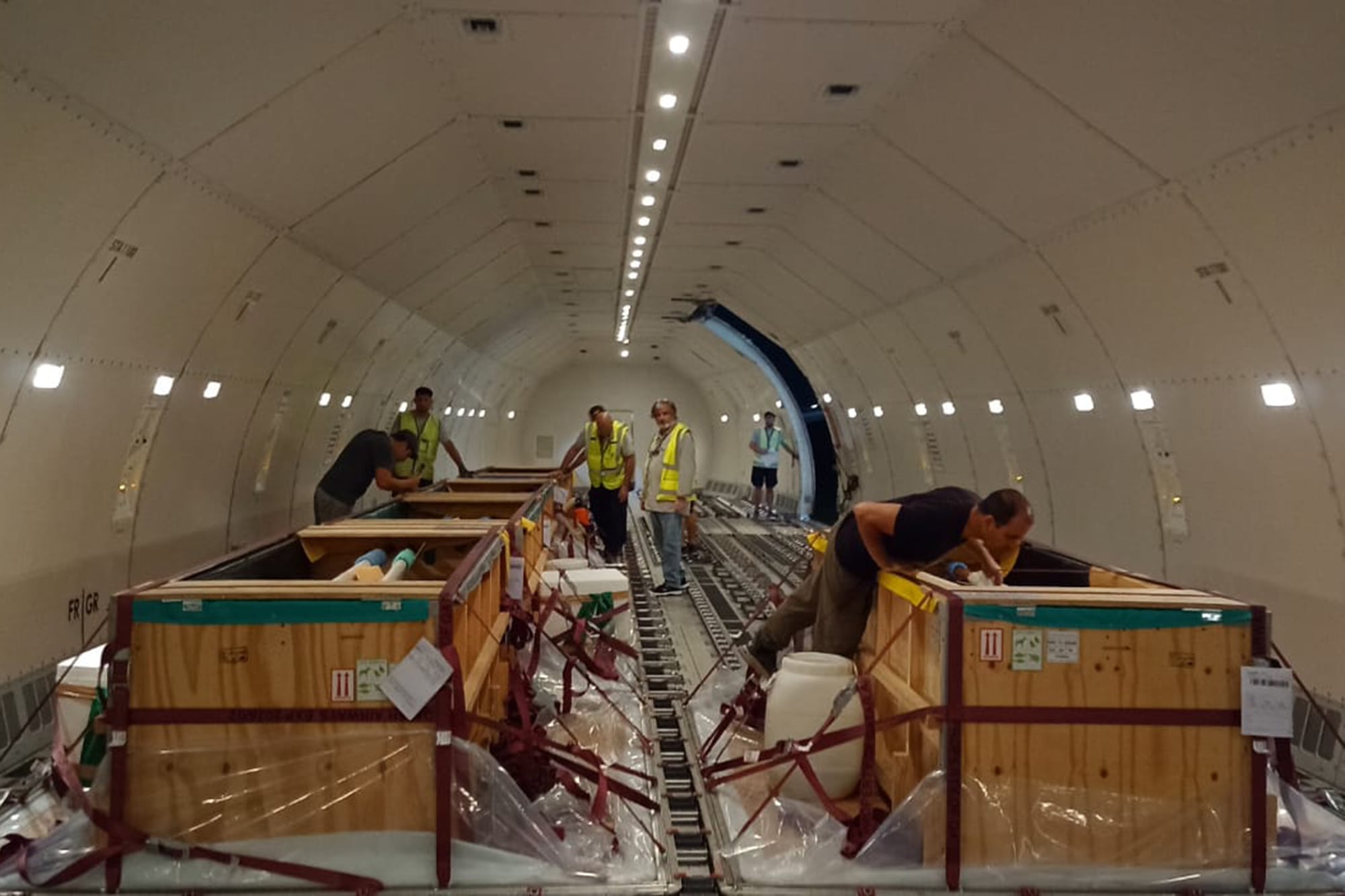 Así fue el viaje a Egipto de los 10 delfines que estaban en el Aquarium de Mar del Plata