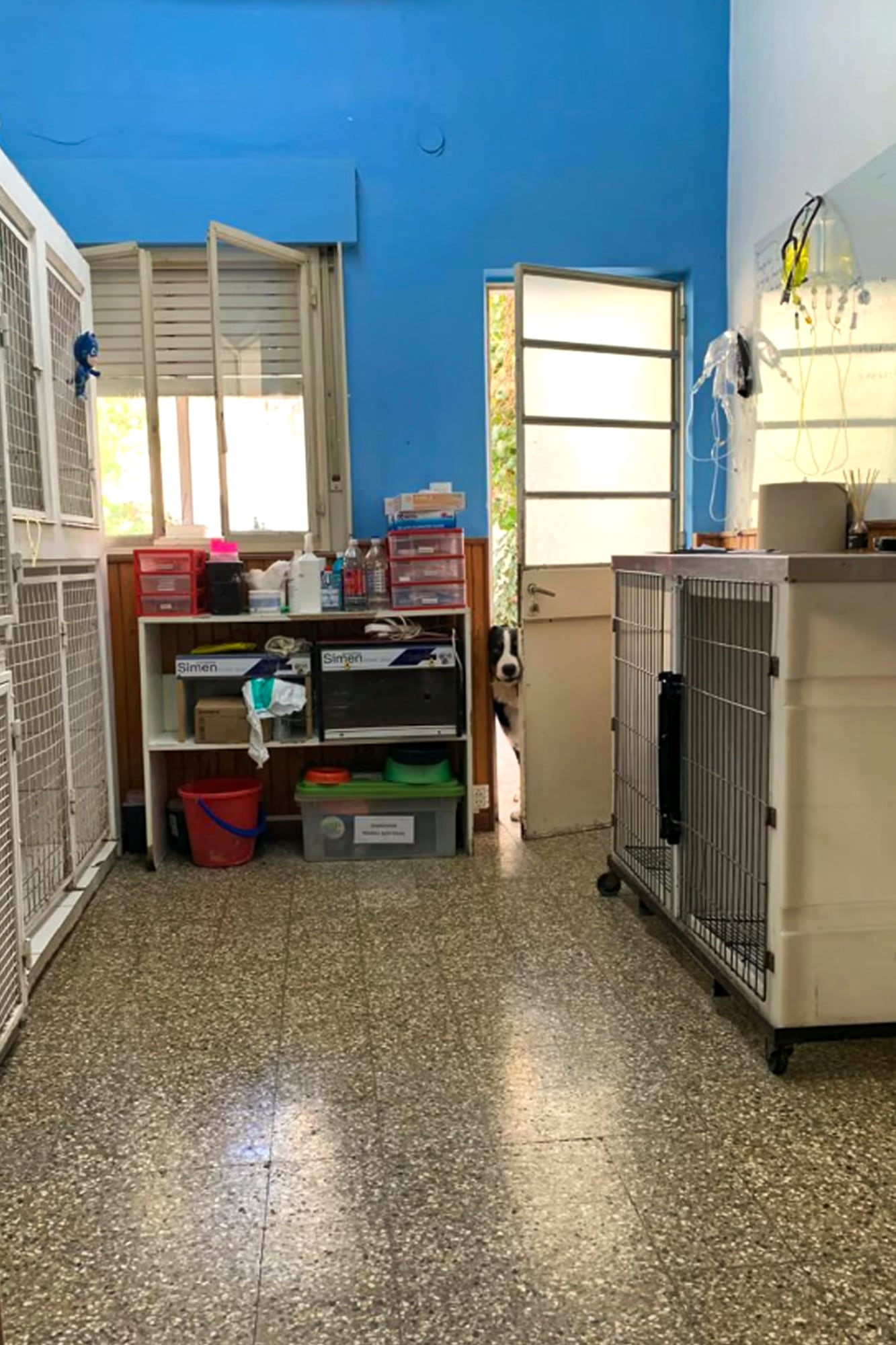 Adrián Coccia (37), veterinario conocido entre los vecinos del barrio Macrocentro de Bahía Blanca, sufrió la destrucción de su veterinaria. Se hizo viral por un video en redes sociales.