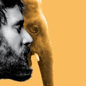 Matar a un elefante