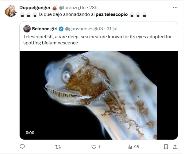 Muchos usuarios bromearon con el video del pez telescopio (Foto: X @lorenzo_tfc)