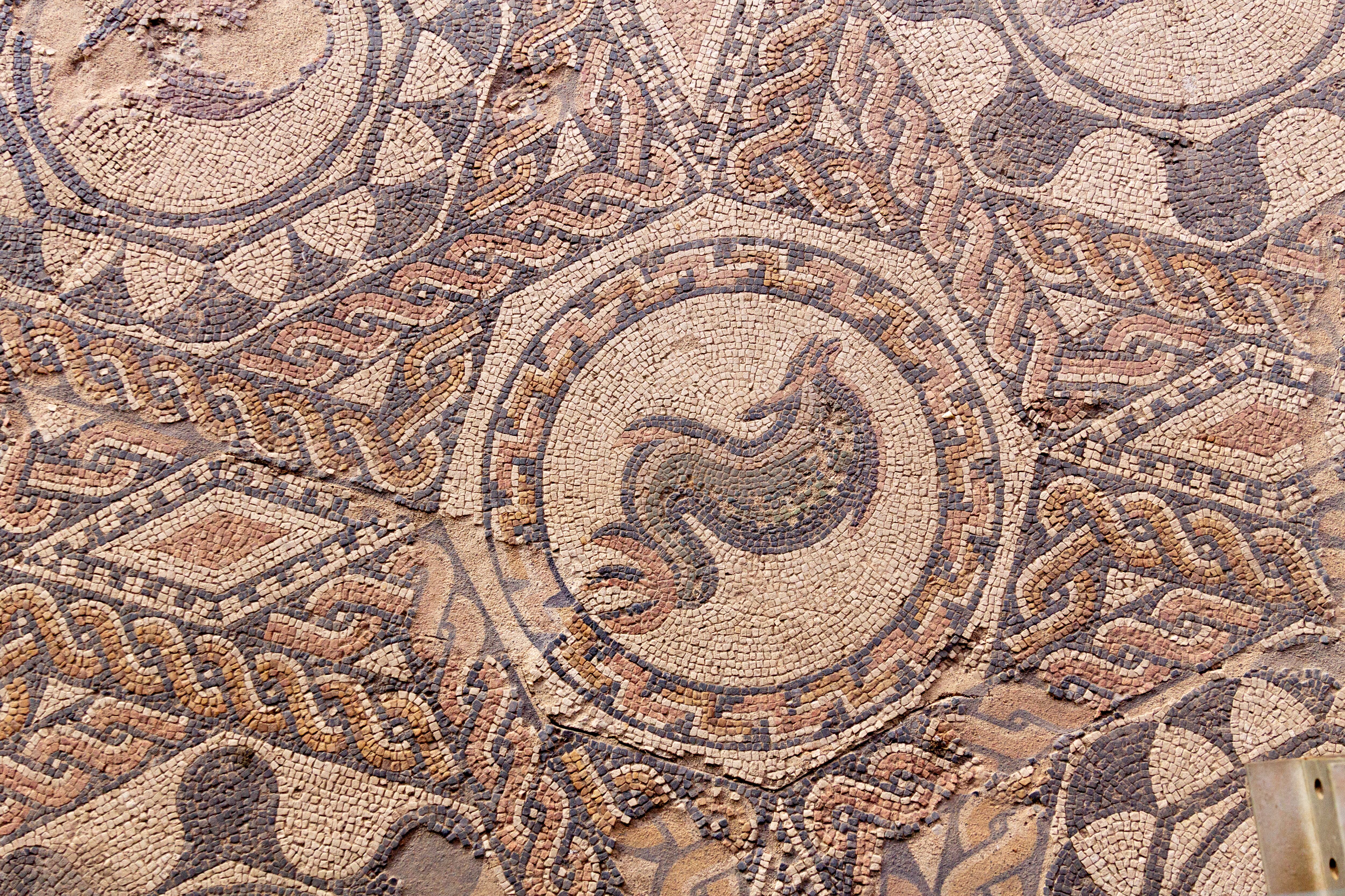 Mosaicos romanos