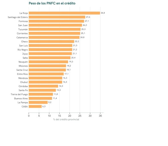 Los proveedores no financieros de crédito (PNFC) explican 14,1% del crédito nacional, pero su mora por monto (31,0%) más que duplica la del sistema financiero (15,2%). El cuadro provincia por provincia. Fuente: Universidad Austral y EcoGo
