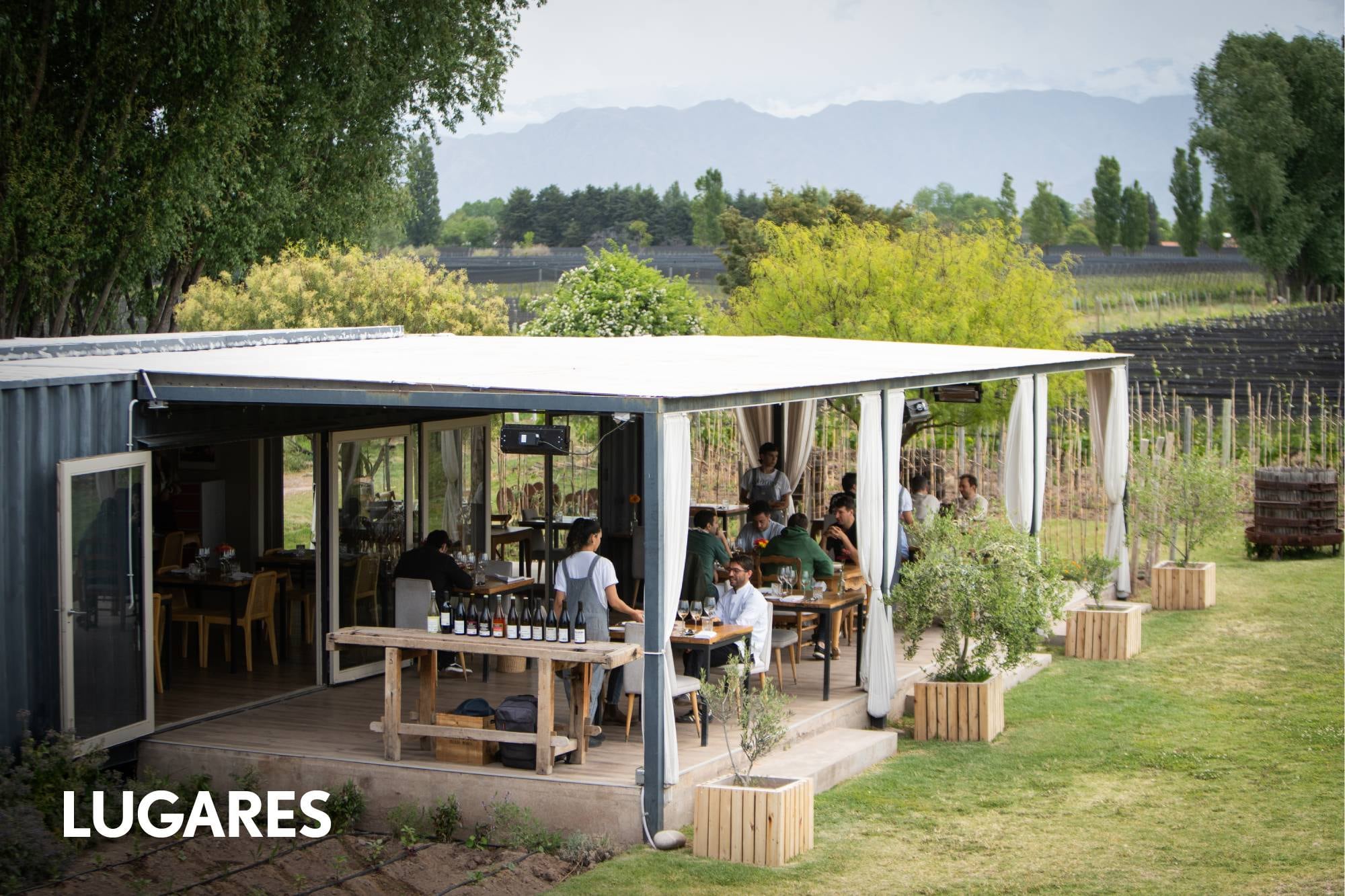 Ganó dos estrellas Michelin, no sirve lomo ni ojo de bife y defiende su cocina basada en vegetales silvestres