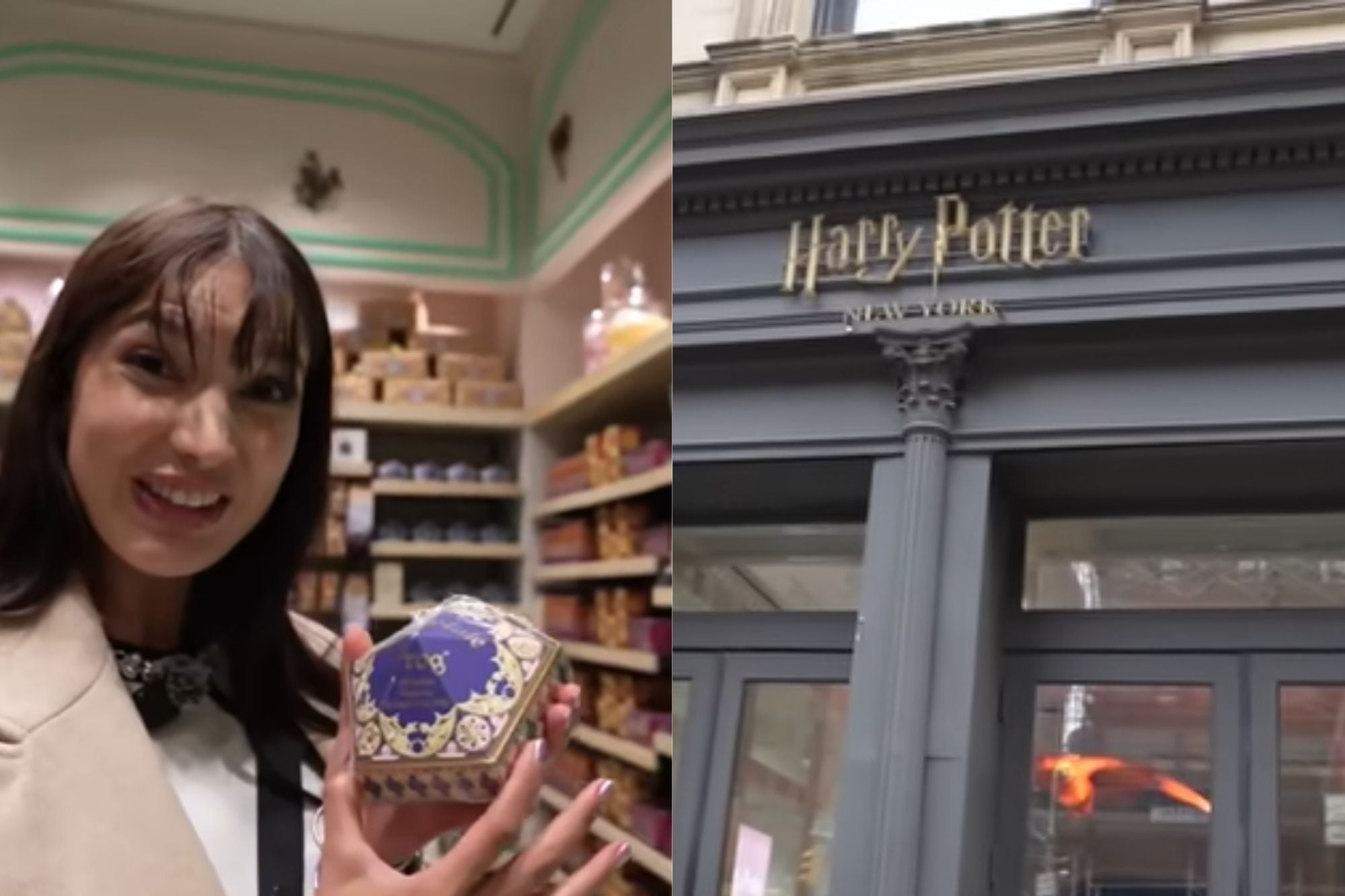 Es latina y muestra las tiendas temáticas icónicas que se pueden visitar en Nueva York: Harry Potter, M&M, Nintendo y más