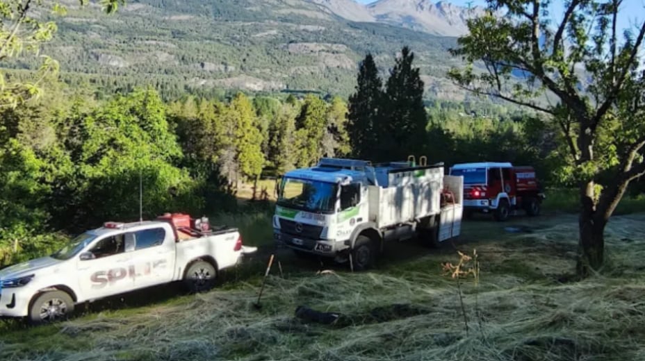 Un hombre murió aplastado por un árbol mientras cortaba leña con una motosierra