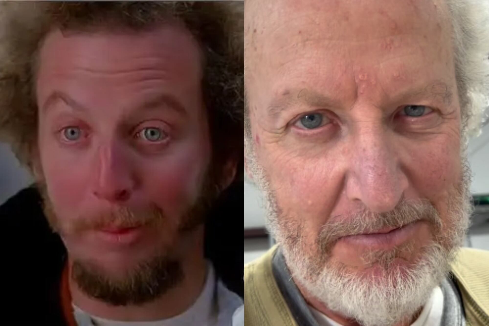 Daniel Stern como Marv Murchins