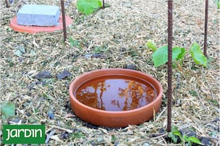 Un método antiguo, fácil y ecológico para no gastar tanto en riego