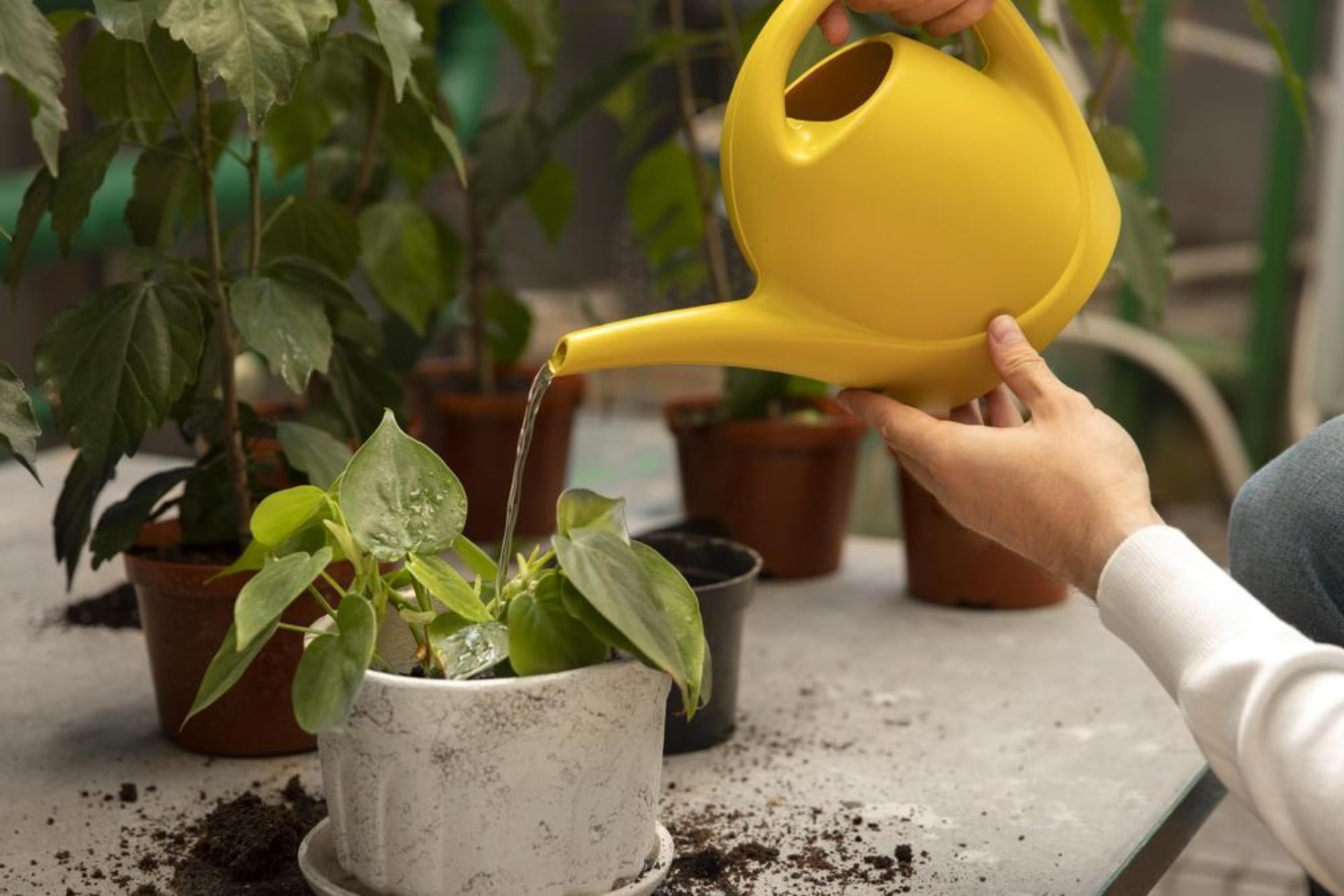 Cuánto cobran los caseros en febrero de 2026