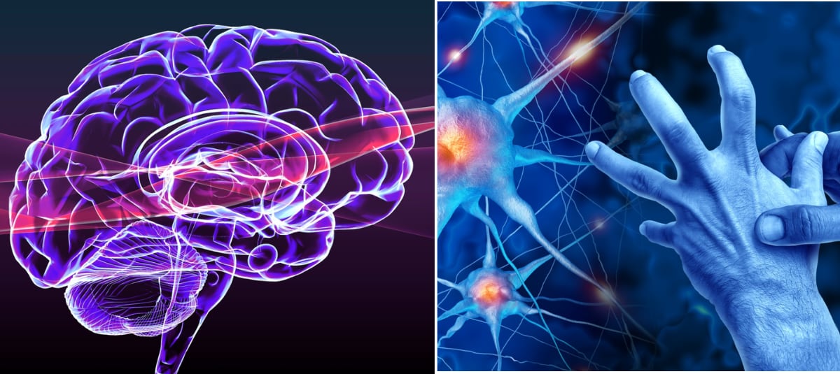 El hábito que más protege al cerebro: la fórmula secreta que recomienda neurólogo para evitar que la memoria falle
