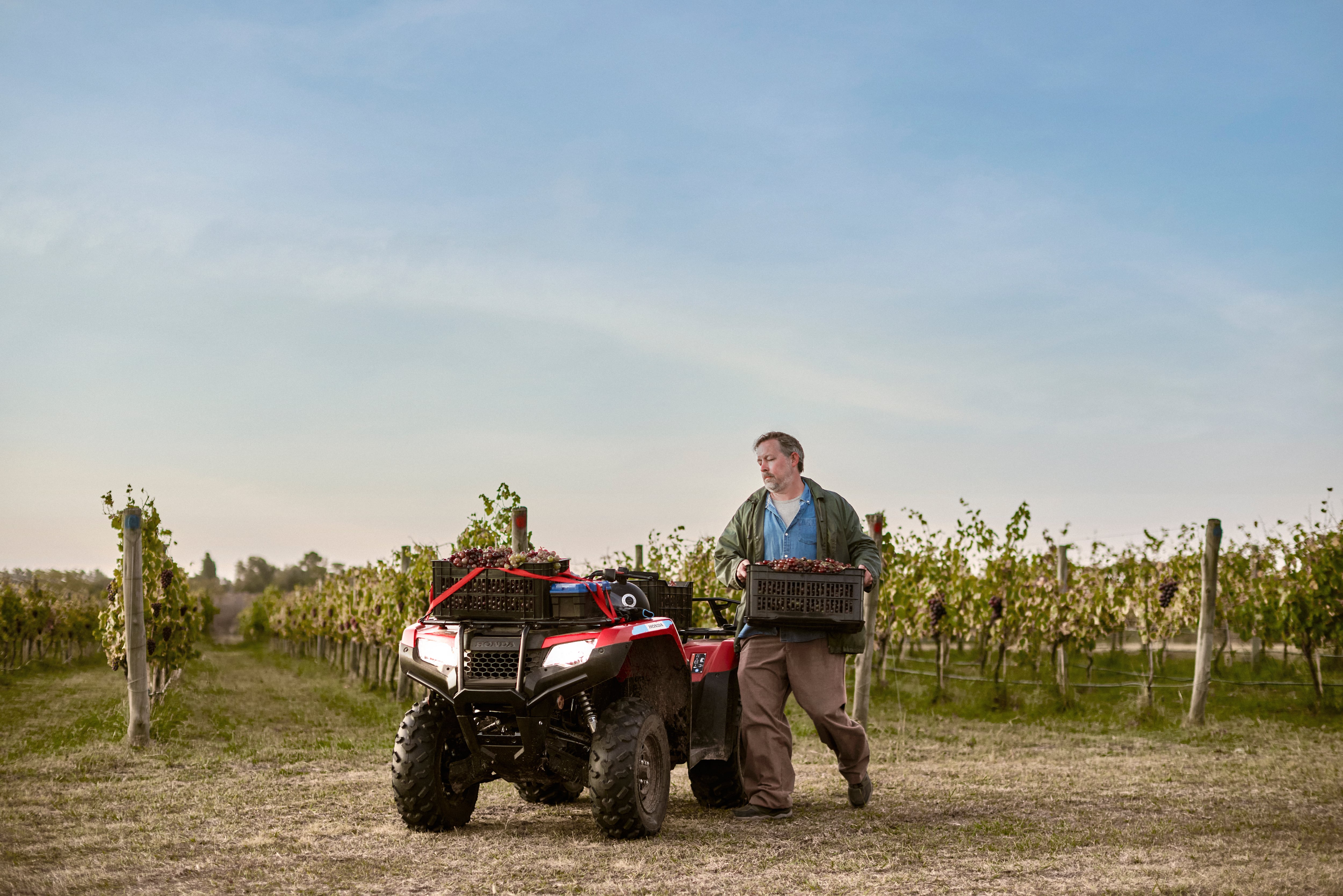 El modelo equipa un motor de 420 cc