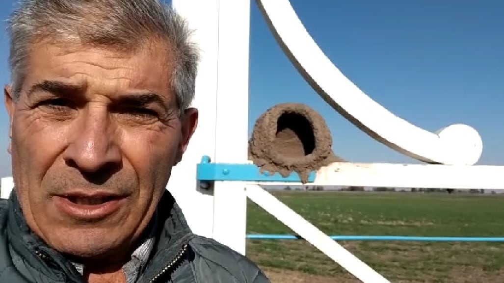 El productor Walter Malfatto. Atrás, el nido a medio terminar en 2021