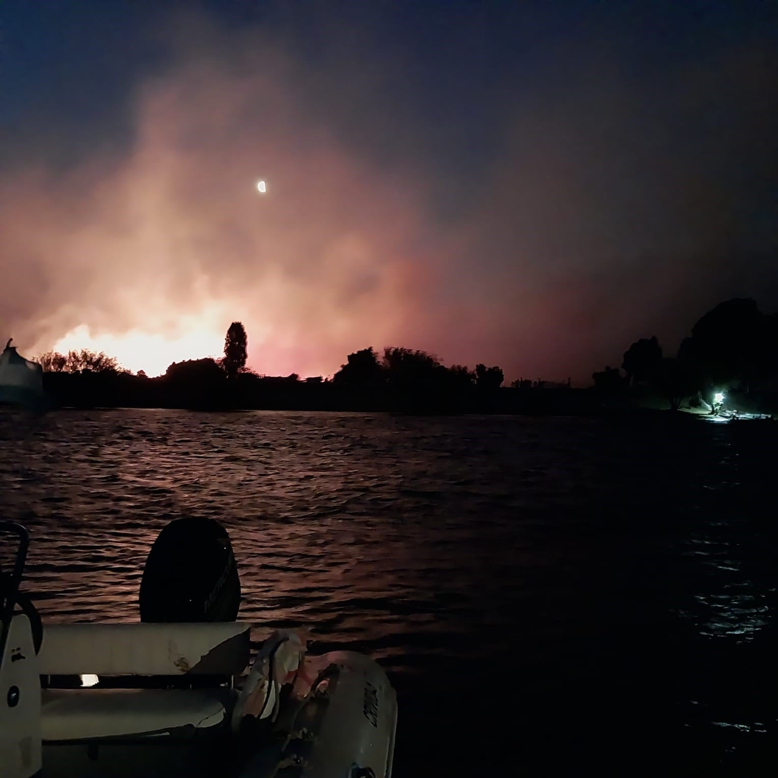 “Origen claramente intencional”: nuevos incendios no dan tregua en el parque Los Alerces y se inician acciones legales