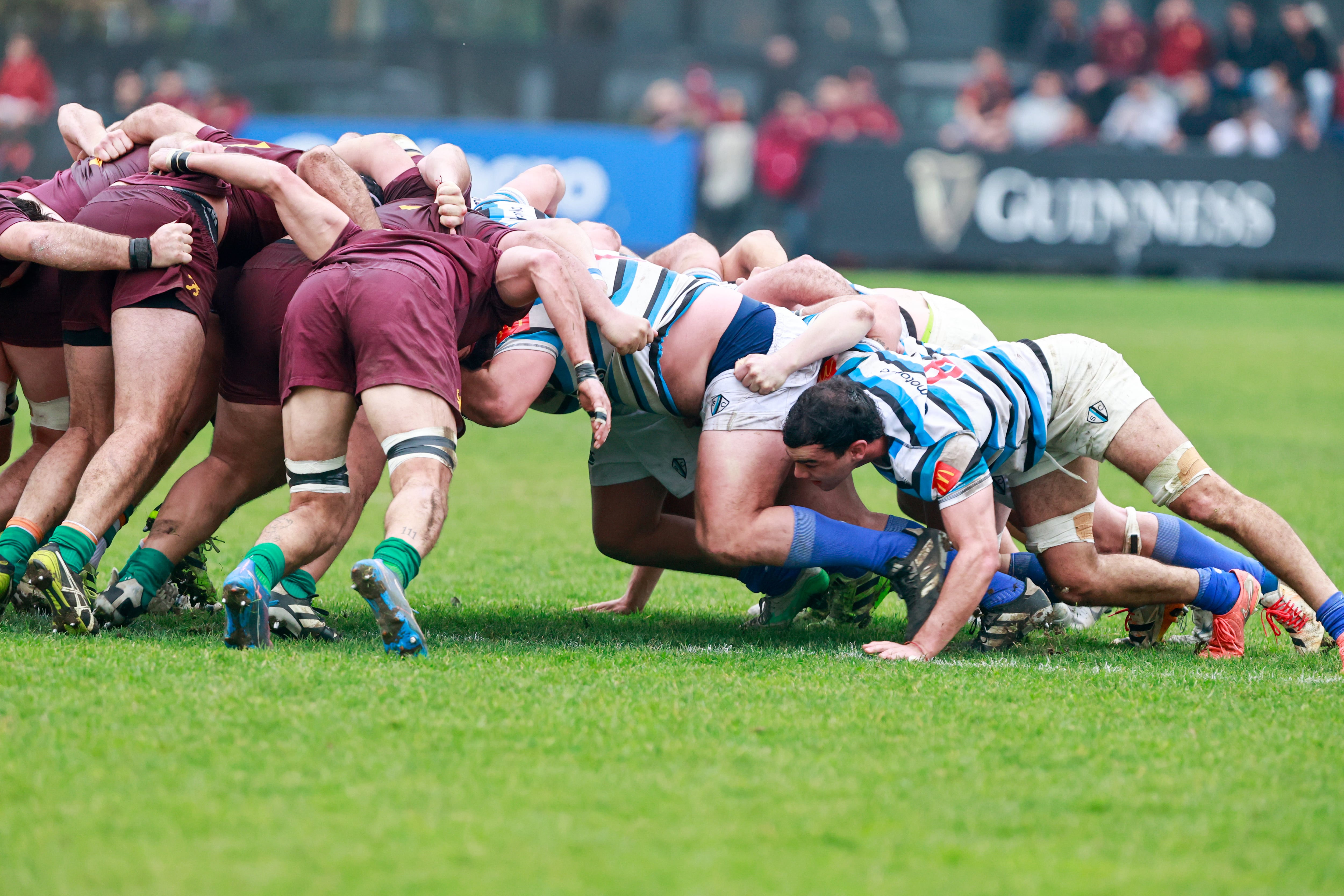 Una de las fortalezas de Newman fue el scrum, y frente a nada menos que San Isidro Club, un especialista en el rubro.
