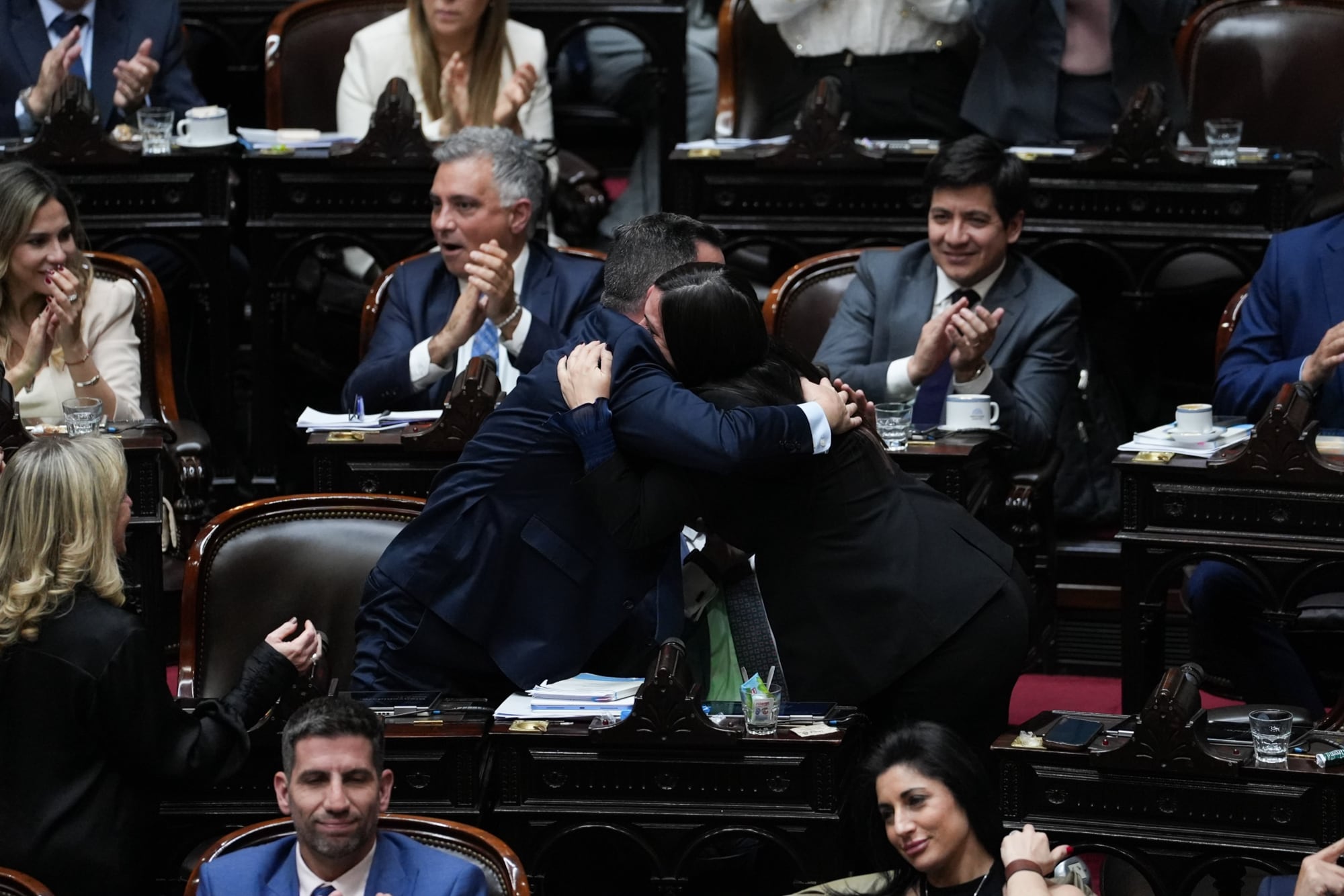 Festejos por la votación de la ley de discapacidad en el Congreso