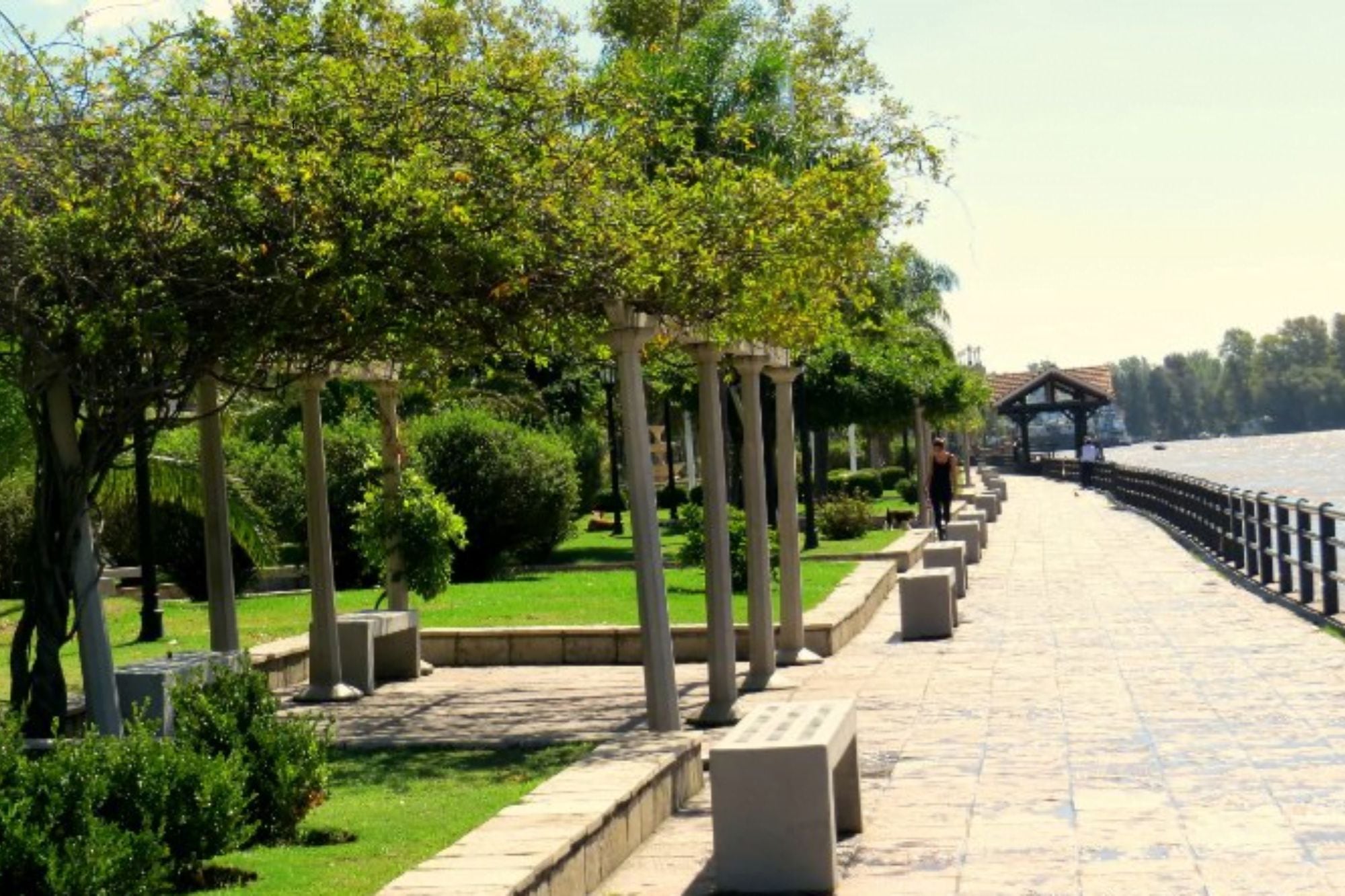 Una escapada distinta a Tigre: navegar en velero, comer frente al río y recorrer el delta