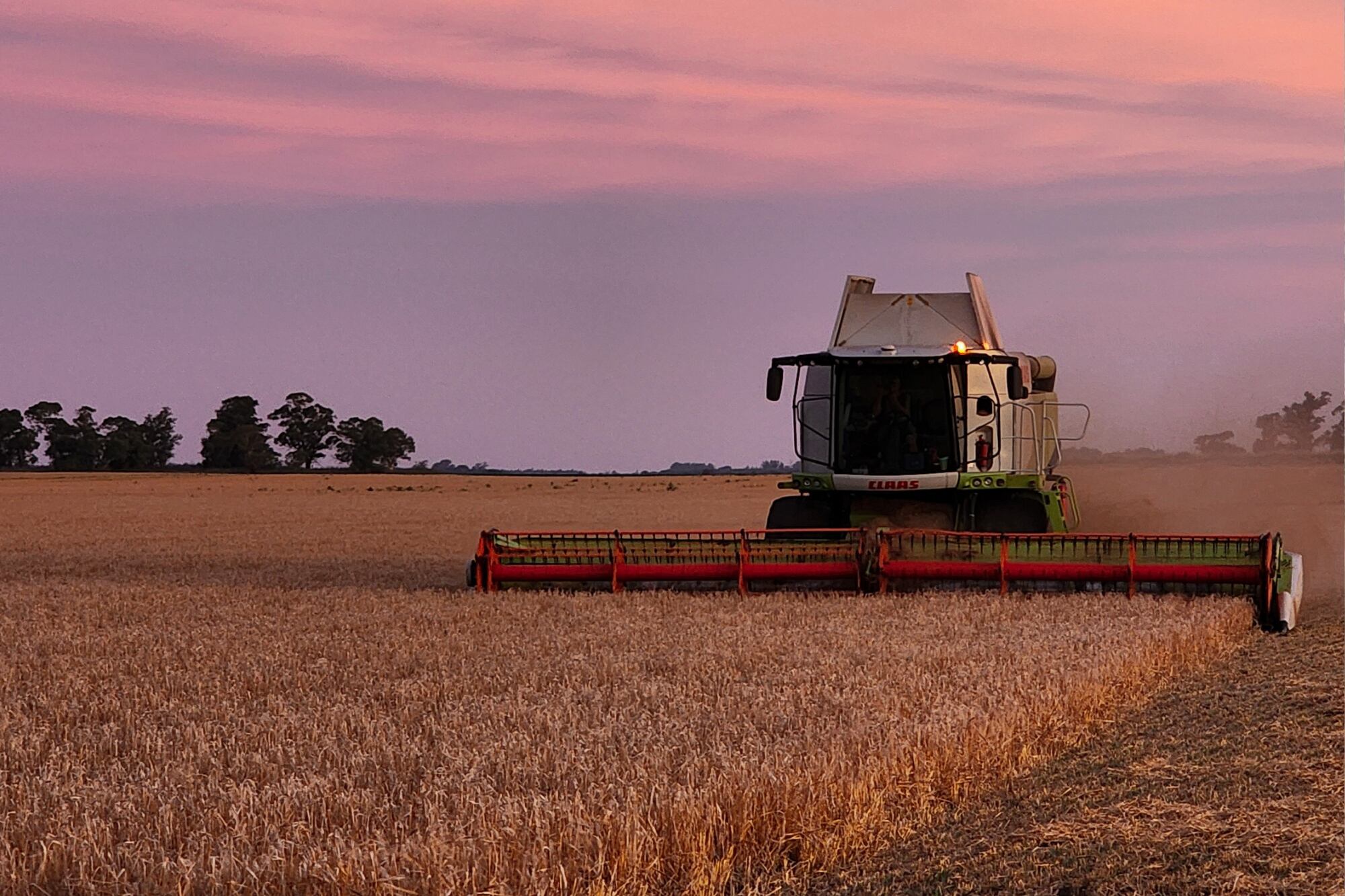 El segundo campo es San Félix, de 1591 hectáreas, en el partido bonaerense de 25 de Mayo, donde combinan agricultura y ganadería con un modelo intensivo, basado en pastoreo racional sobre cultivos verdes