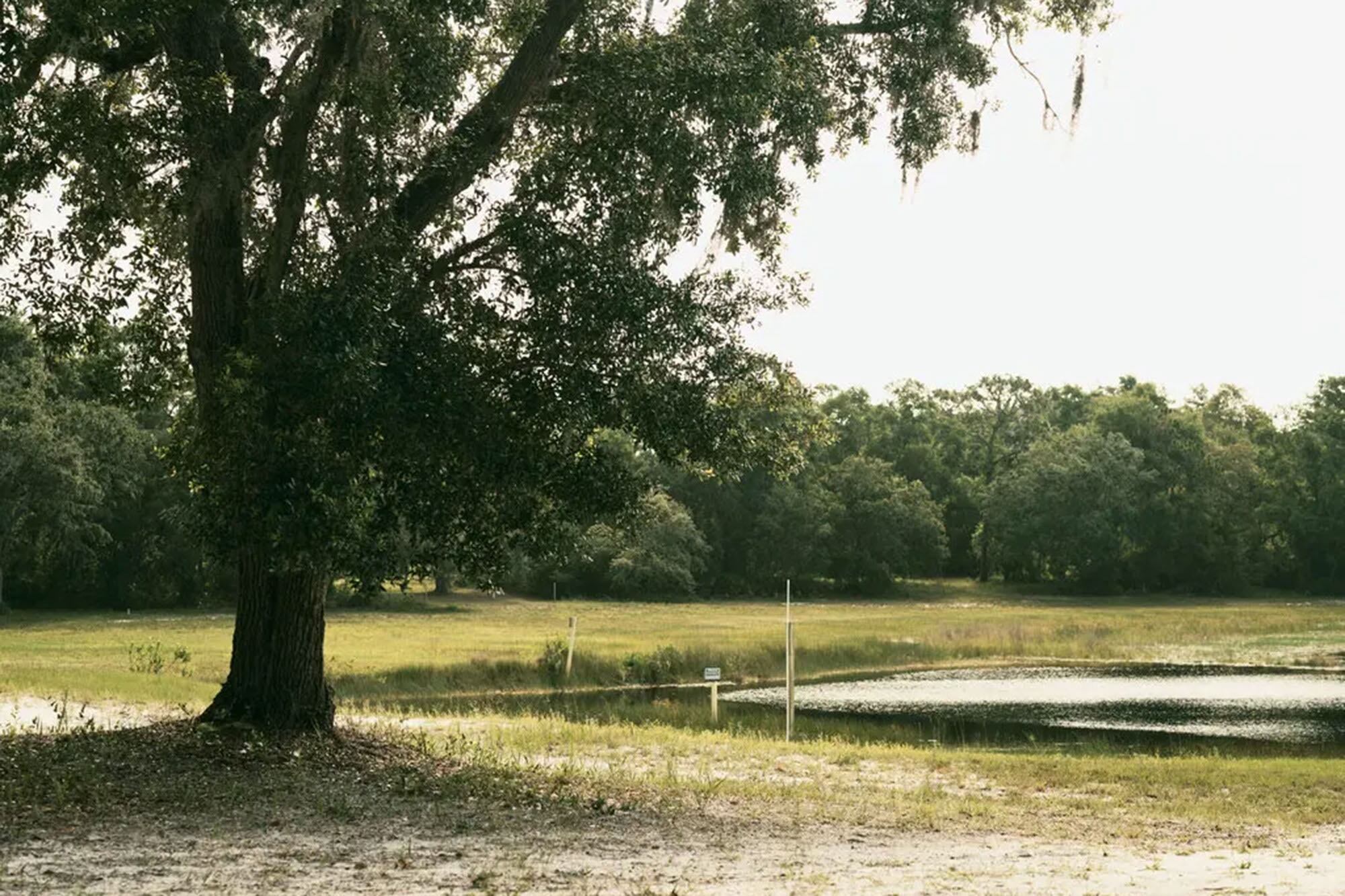 Se exigía una devoción por la vida desnuda: cualquiera que comprara un lote debía ser nudista