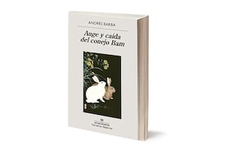 Reseña: Auge y caída del conejo Bam, de Andrés Barba