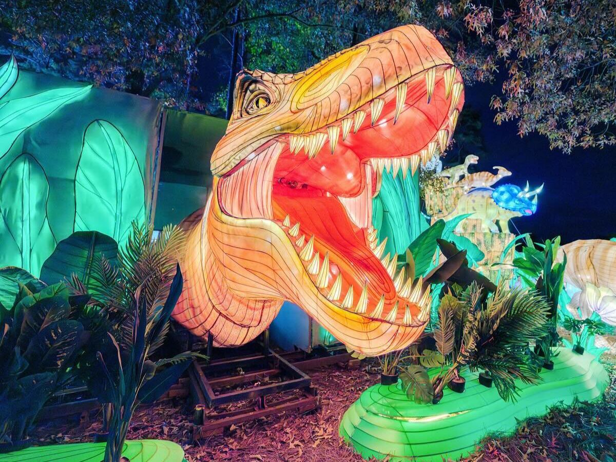 Último festival de Linternas Chinas en Carolina del Norte: actividades y precios