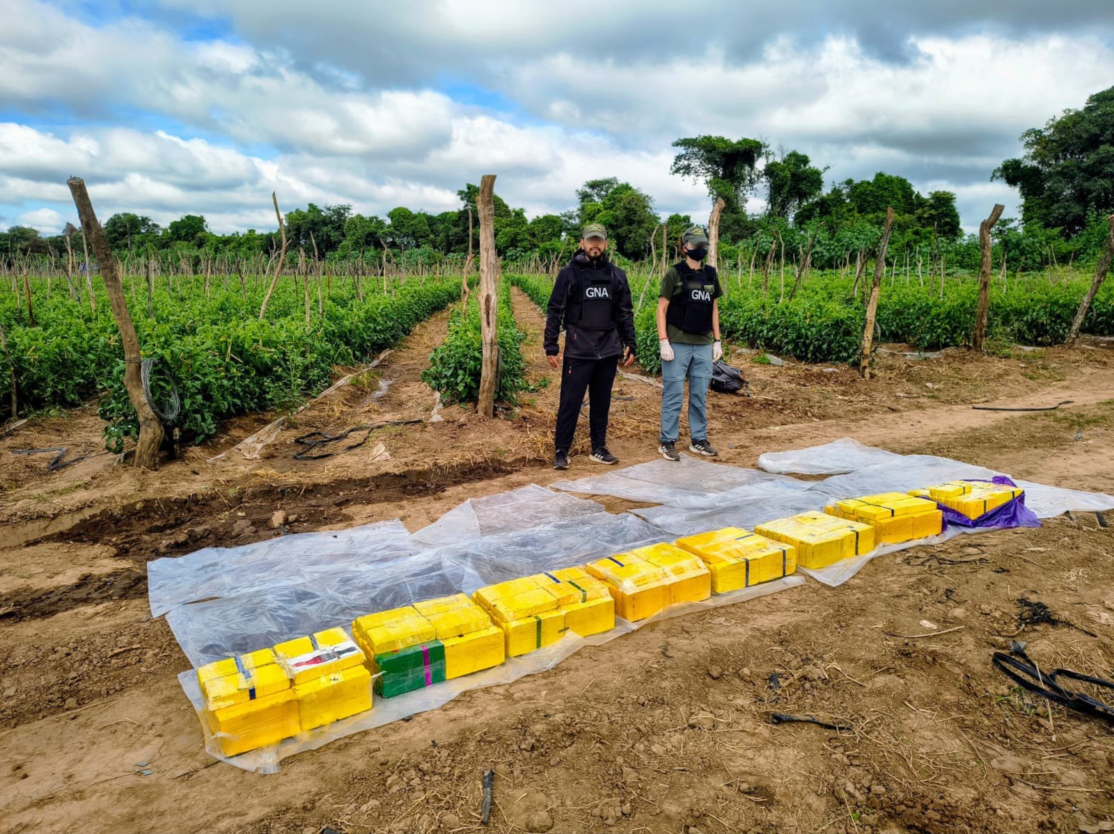 La droga incautada en Colonia Santa Rosa, Salta