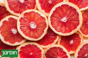 Esta fruta protege contra la diabetes y es ideal para empezar el día