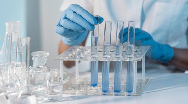 El trabajo es resultado de más de 20 años de investigación sobre el virus del dengue en la Fundación Instituto Leloir