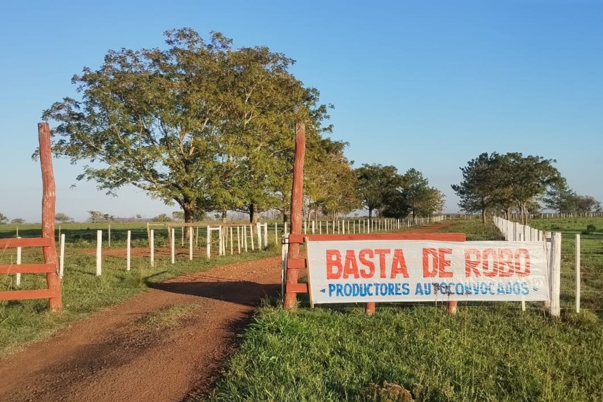 Los carteles de los productores ante el aumento de los casos