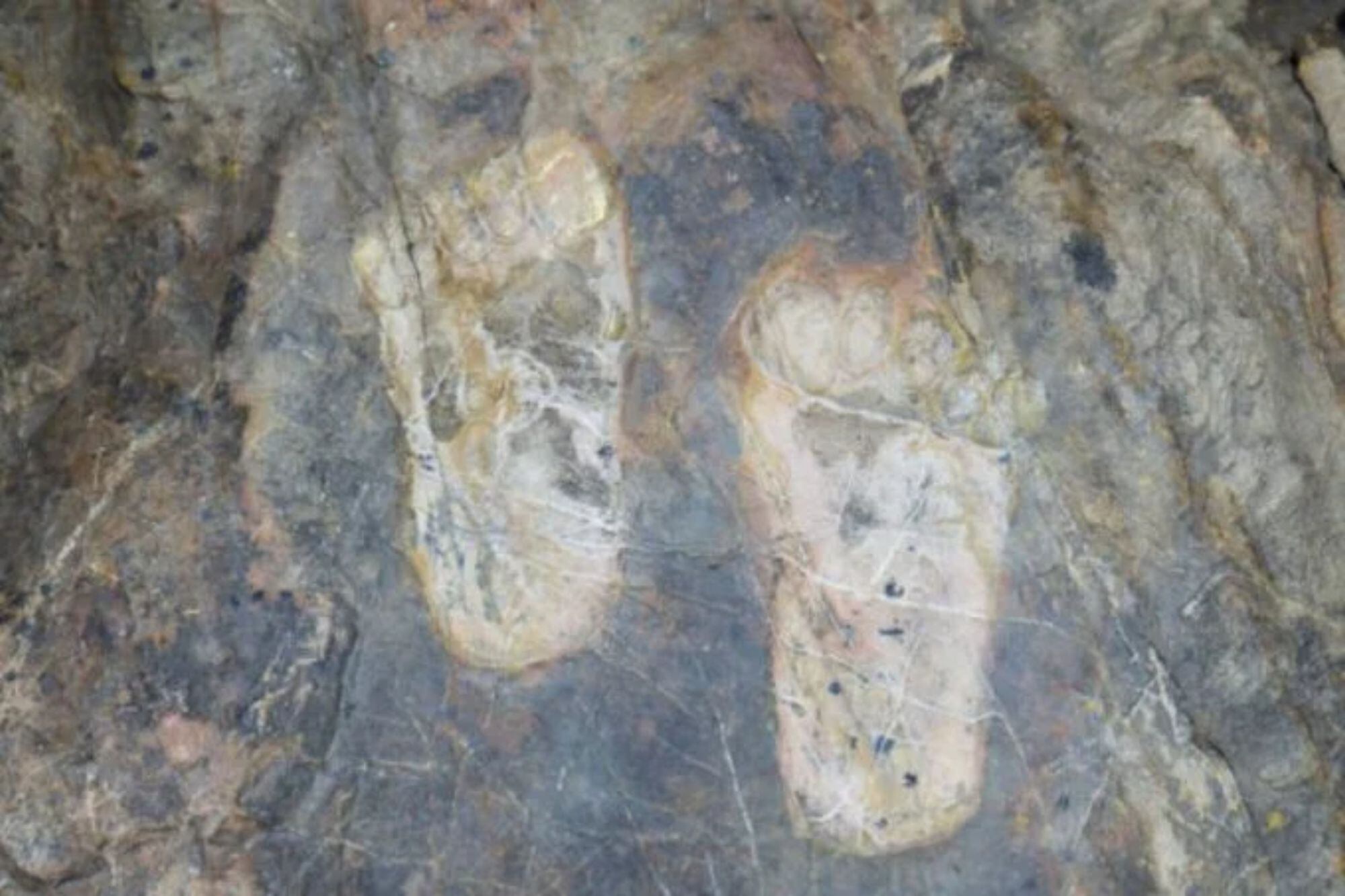 Parte de la investigación halló rastros de la vida cotidiana (Instagram/ @Dr_TheHistories)