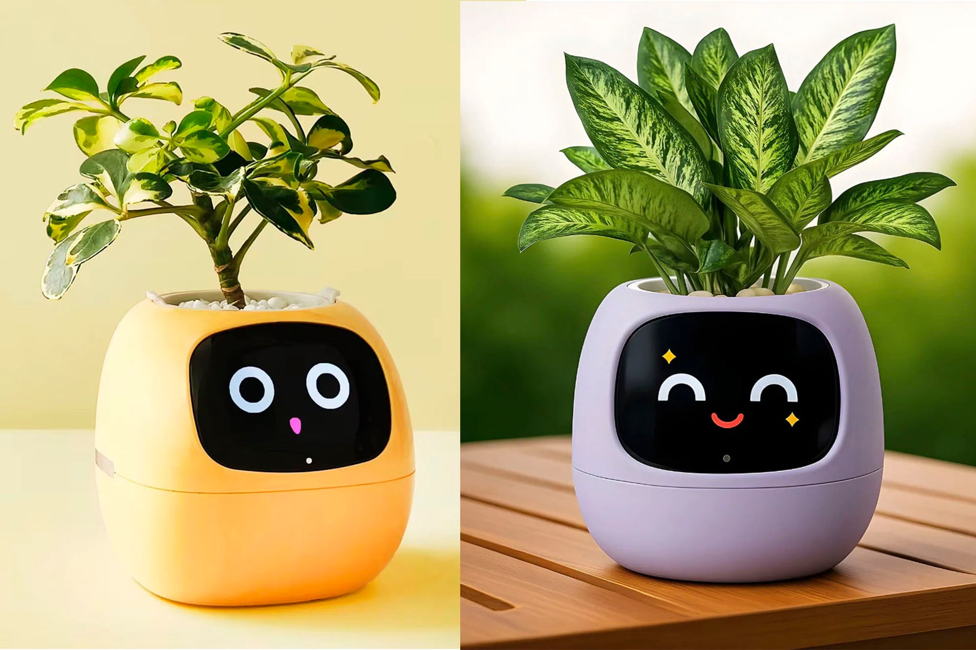 Ivy Smart transforma en emojis el estado del sustrato