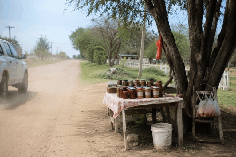 “No me los querría cruzar”: anticipan un crecimiento explosivo del jabalí, que ya provoca pérdidas por US$1600 millones por año 7 Según Pescio, como no existe la producción formal, esta carne proviene de la faena clandestina