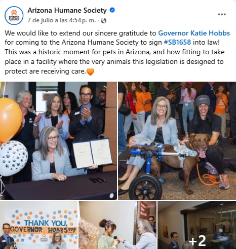 El labrador chocolate Jerry fue uno de los 55 perros rescatados de una finca en Chandler. Facebook / Arizona Humane Society