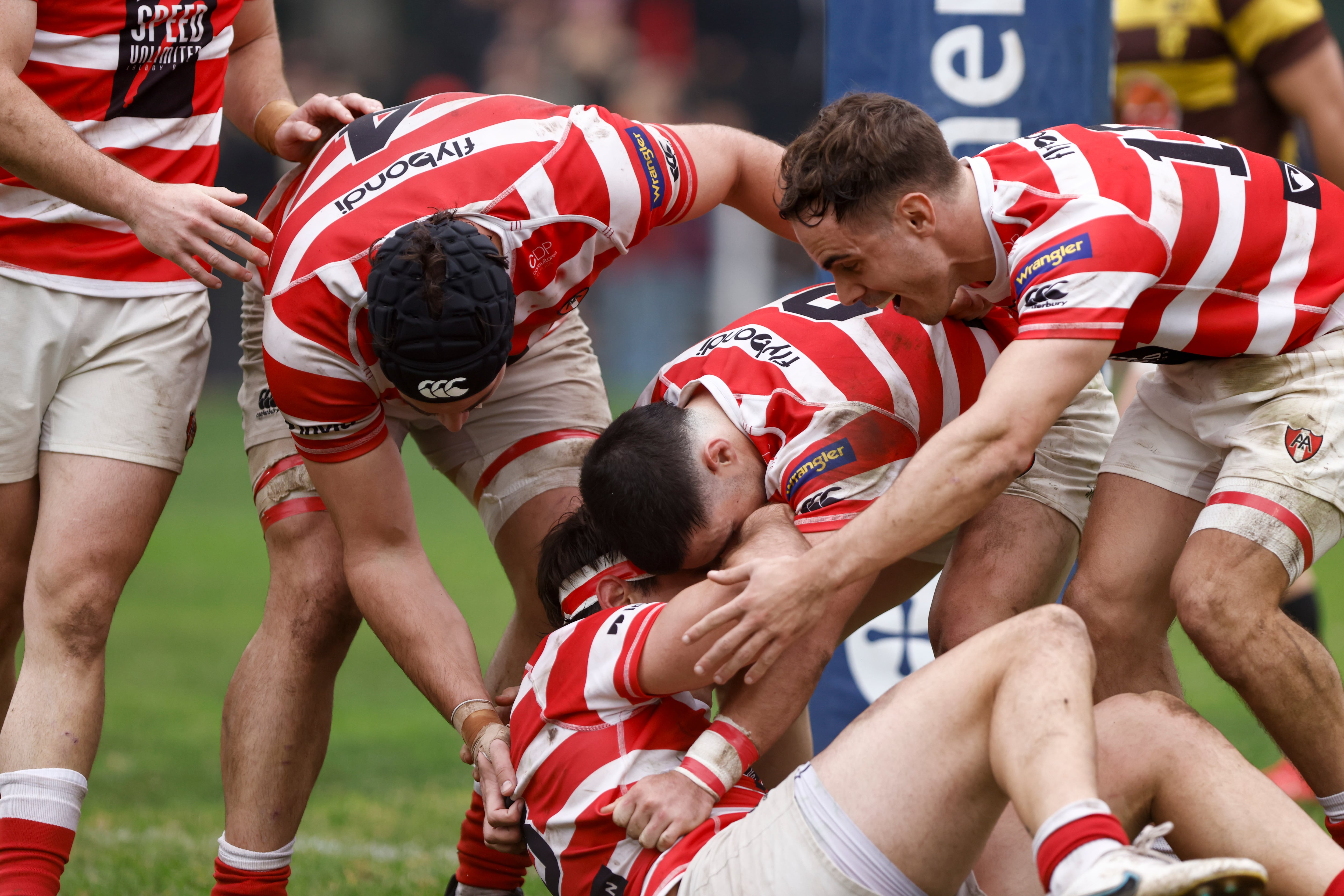Festejos en torno a Tomás Cubilla tras la conquista del sexto y último try de Alumni; sobre el final, Belgrano reaccionó.