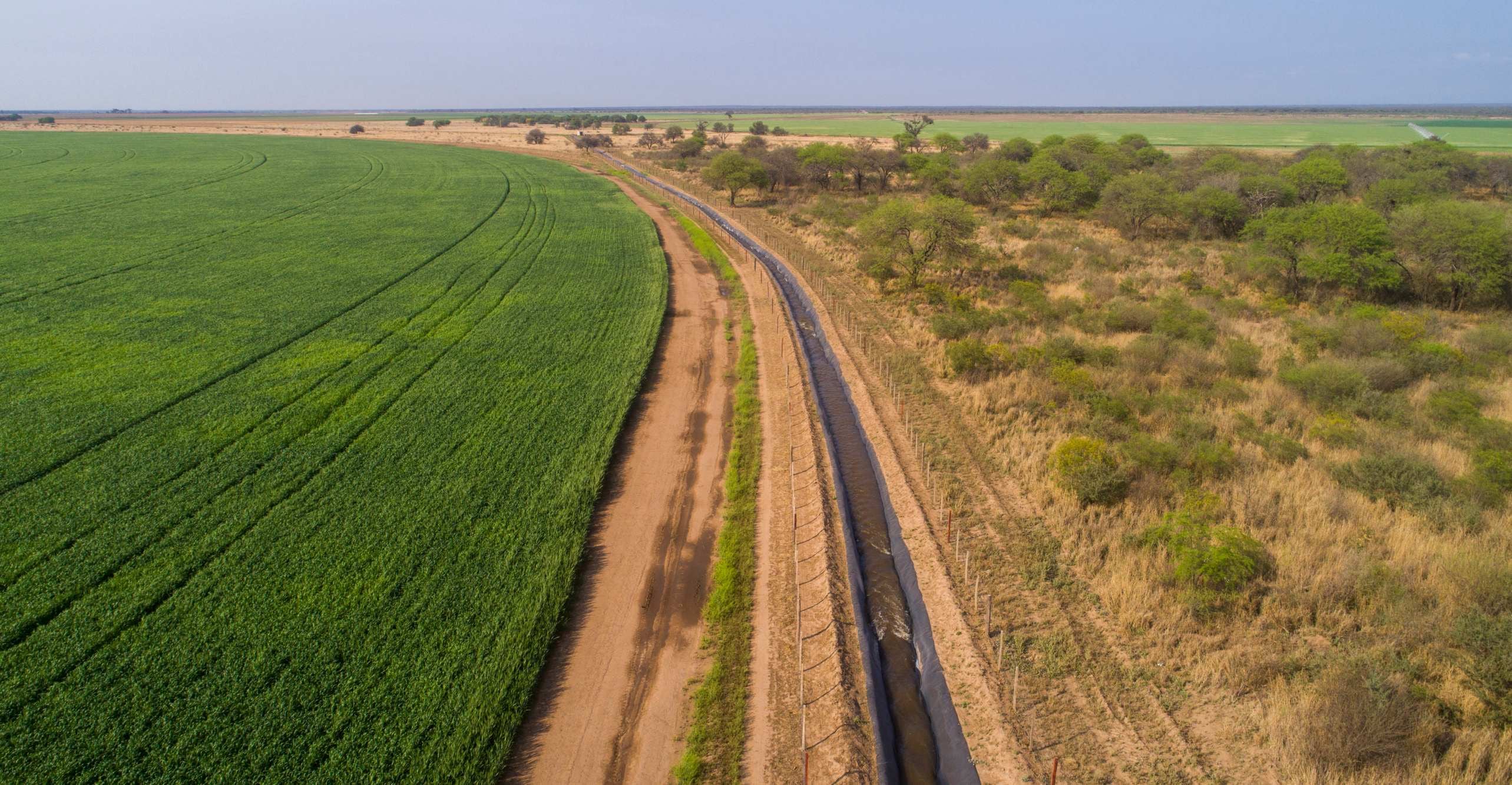 Agropecuaria Mistol Ancho produce semilla de soja, maíz y trigo con equipos de riego alimentados por paneles solares en Catamarca y Santiago del Estero