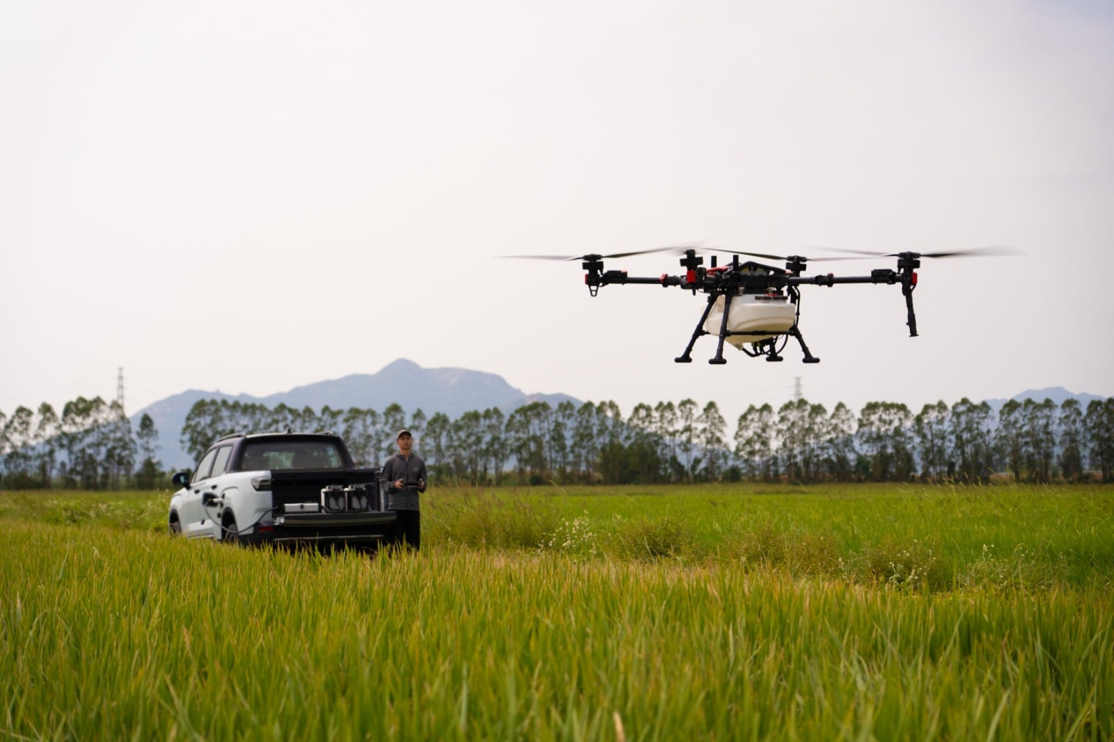 Cada vez hay más drones agrícolas y aumenta la demanda de seguros para protegerlos
