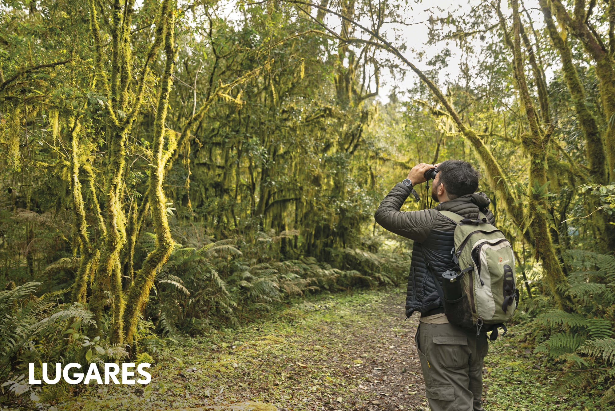 El parque nacional en altura con cientos de aves y sectores solo aptos con guía