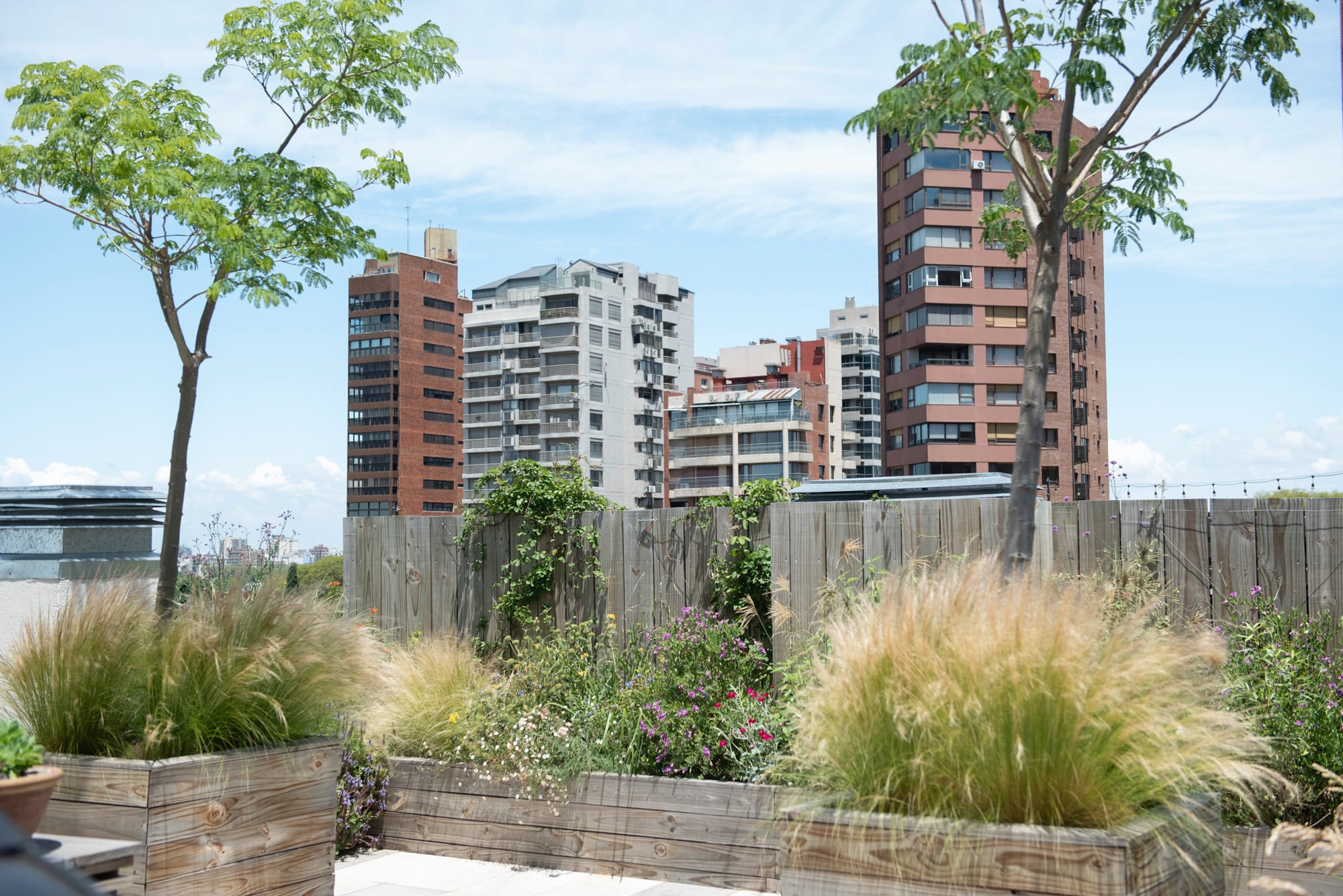 Las gramíneas y plantas nativas bien seleccionadas ofrecen una ventaja clara: requieren menos mantenimiento