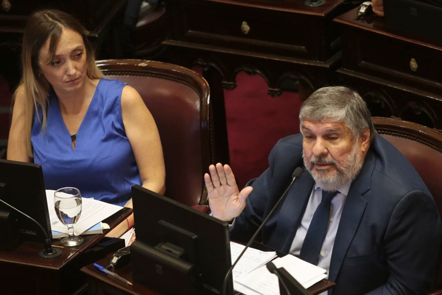 Anabel Fernández Sagasti y José Mayans, el jefe de los bloques peronistas del Senado