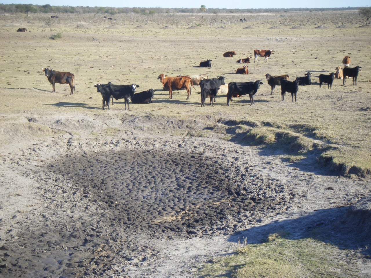 En 2022 la zona sufrió una fuerte sequia