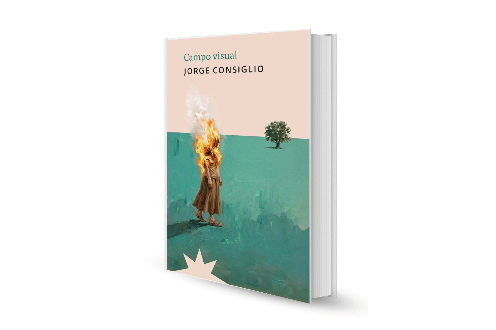 Reseña. Campo visual, de Jorge Consiglio