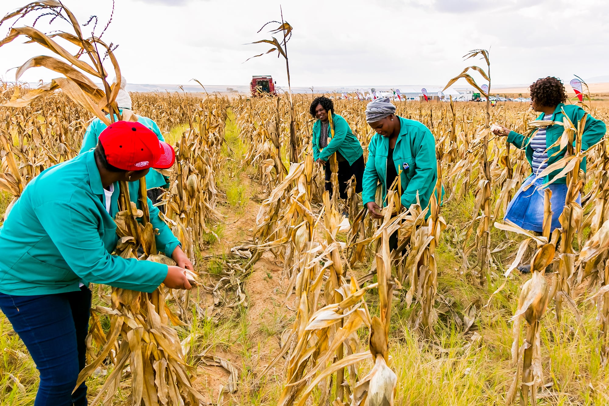 Sudáfrica necesita tecnología agrícola