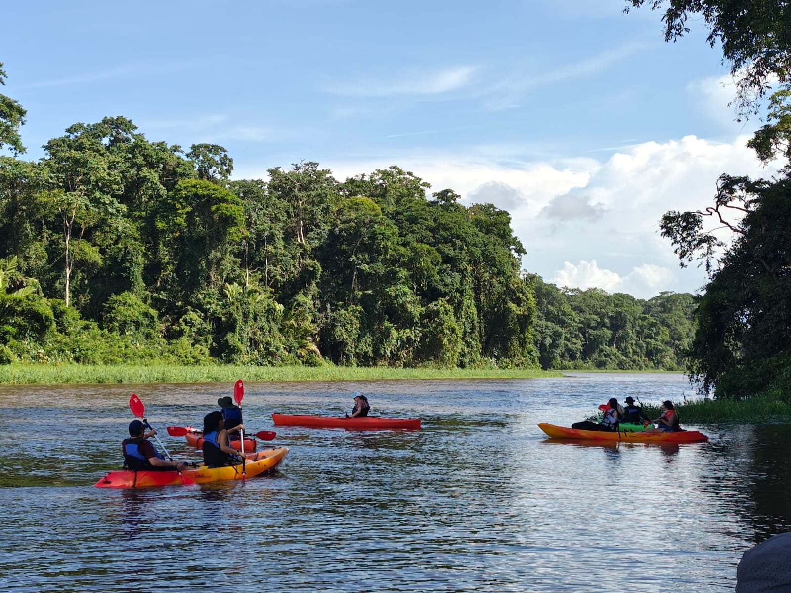 Salidas en kayak por los canales del Parque Nacional Tortuguero