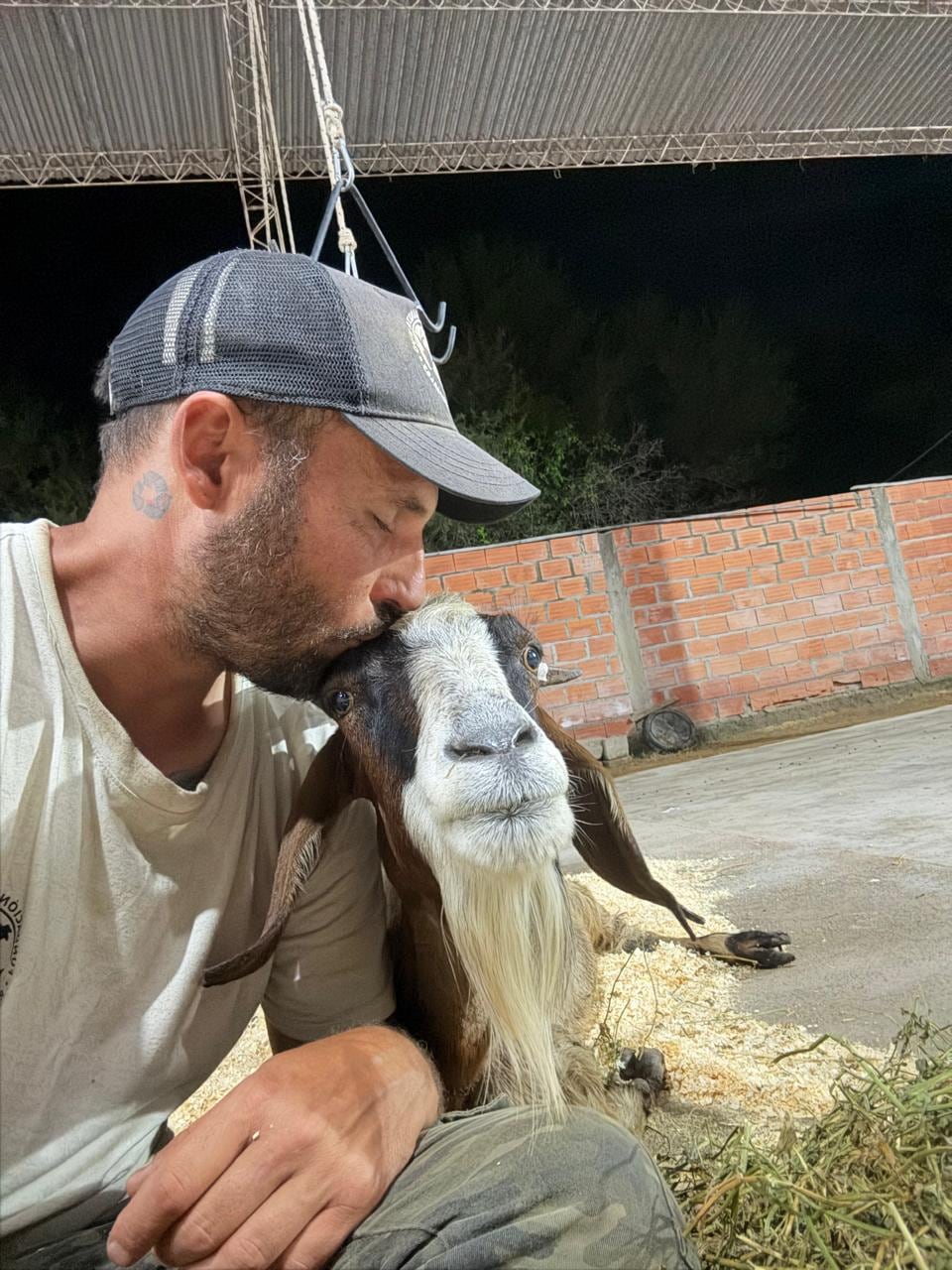 Atrapada en el barro, sobrevivió a una inundación, perdió a sus crías y forjó un vínculo inesperado con quien la ayudó: “Me enamoré de una tucumana”
