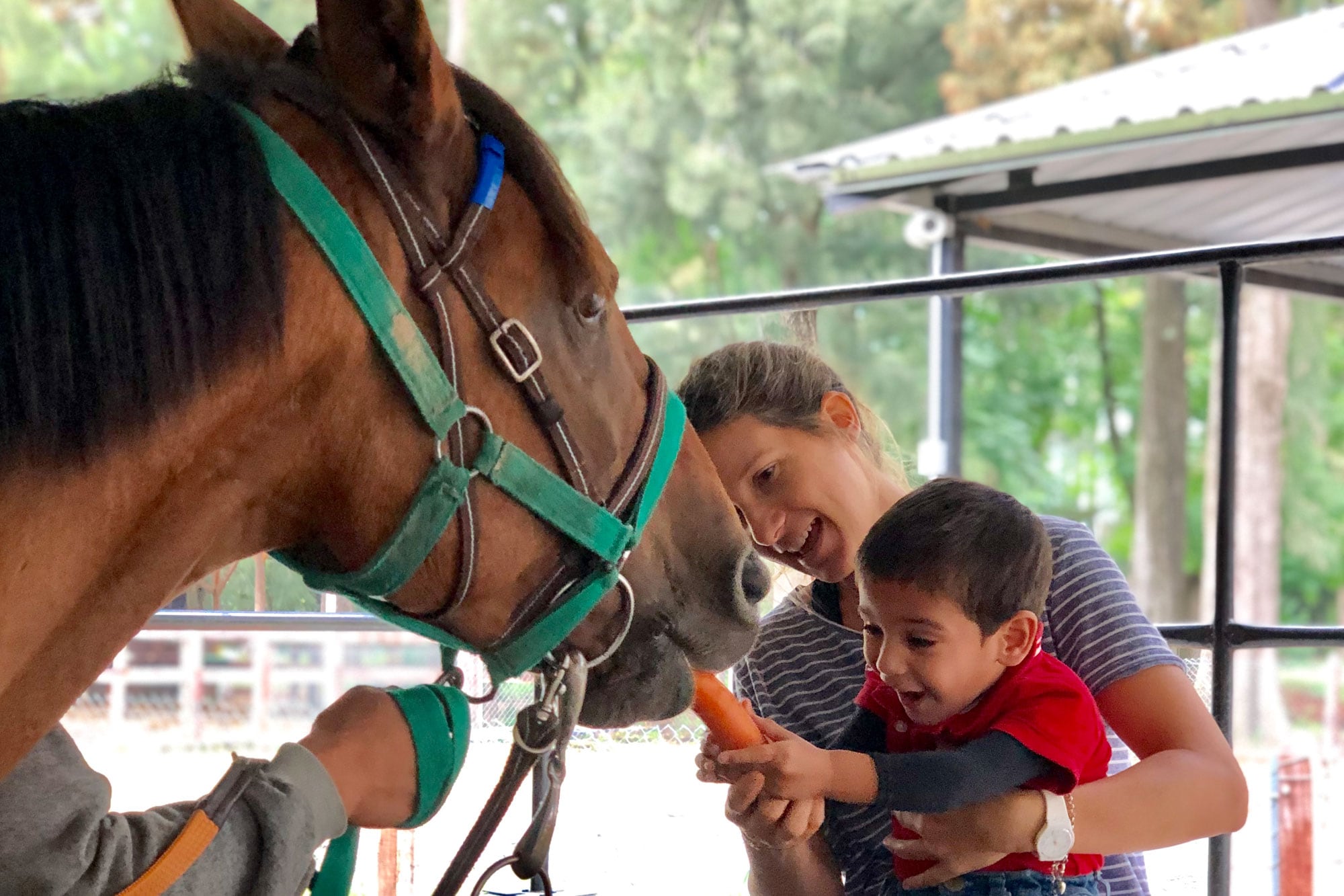 La equinoterapia apareció como un punto de inflexión para toda la familia
